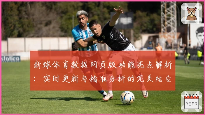 新球体育数据网页版功能亮点解析：实时更新与精准分析的完美结合