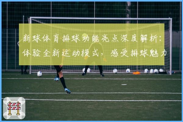 新球体育排球功能亮点深度解析:体验全新运动模式,感受排球魅力的极致快感