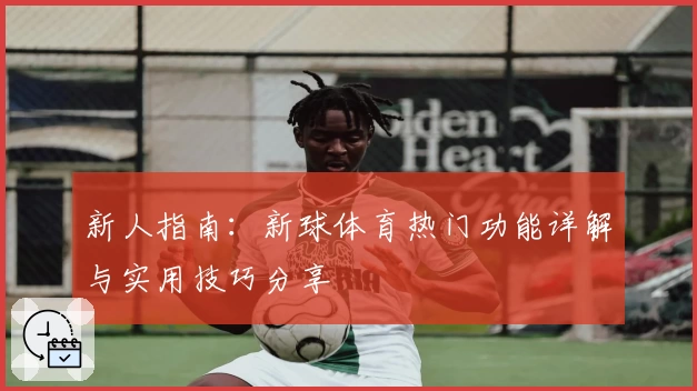 新人指南：新球体育热门功能详解与实用技巧分享