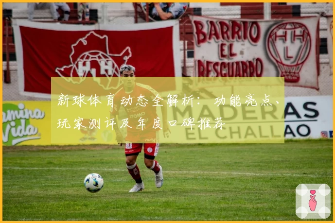 新球体育动态全解析：功能亮点、玩家测评及年度口碑推荐