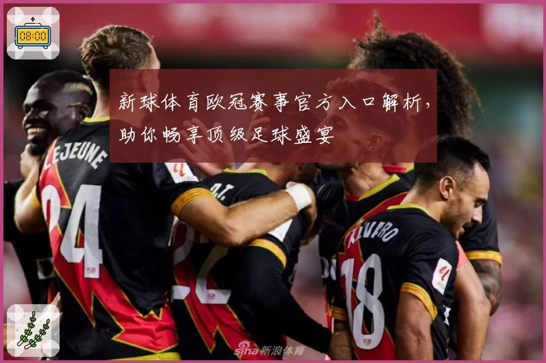 新球体育欧冠赛事官方入口解析，助你畅享顶级足球盛宴