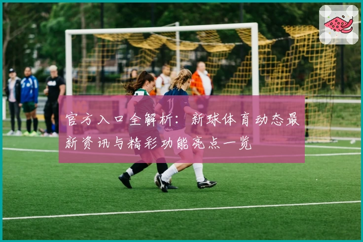 官方入口全解析：新球体育动态最新资讯与精彩功能亮点一览
