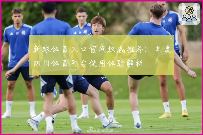 新球体育入口官网权威推荐：年度热门体育平台使用体验解析