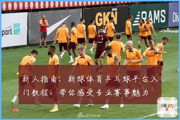 新人指南：新球体育乒乓球平台入门教程，带你感受专业赛事魅力