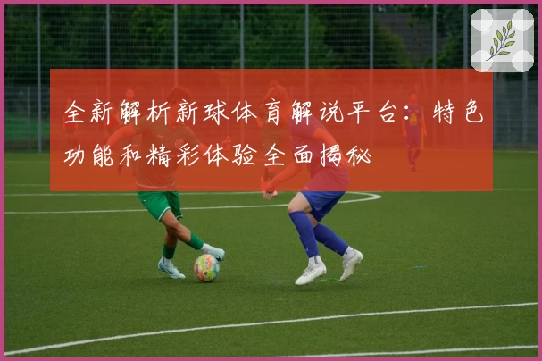 全新解析新球体育解说平台:特色功能和精彩体验全面揭秘