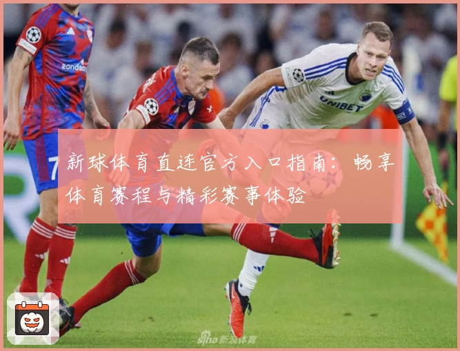 新球体育直连官方入口指南：畅享体育赛程与精彩赛事体验
