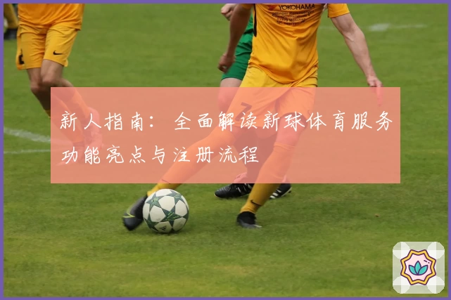 新人指南:全面解读新球体育服务功能亮点与注册流程